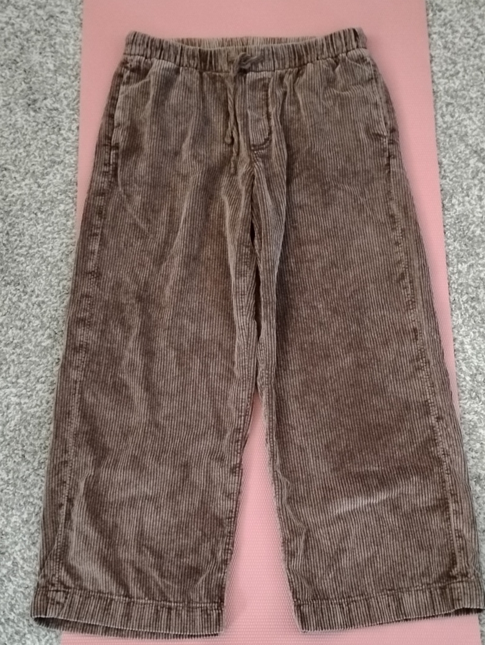 American Eagle Brown Corduroy Pant Never Worn
